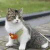 Nueva correa de flores para gato, arnés estilo chaleco para perro, venta al por mayor de artículos para mascotas, tienda de mascotas, gatito ragdoll