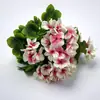 Envio Direto da Fábrica de Flores Artificiais para Vendas Transfronteiriças na Temu e Amazon, Begônia de 9 Cabeças e Flores Artificiais de Gerânio, Flores de Seda para Decoração de Casa