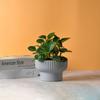 Decoración de planta artificial estilo romano para el hogar, maceta de suelo de melamina, maceta de flores phalaenopsis rayada, boca redonda gruesa