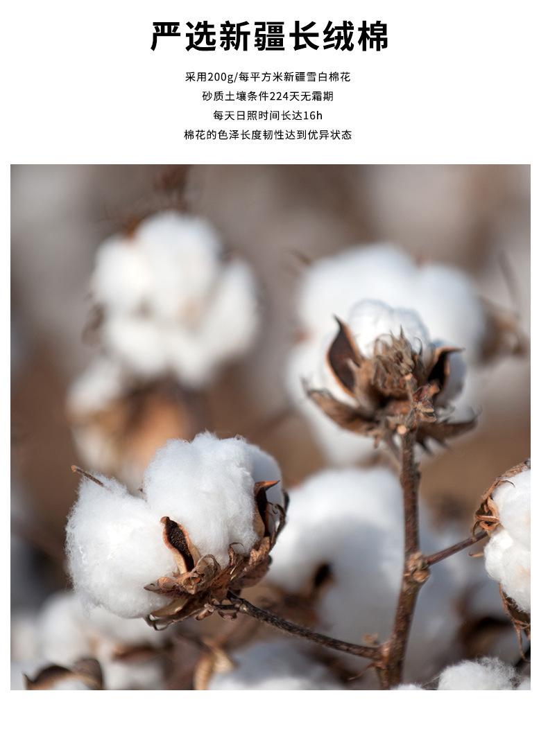 详情 (4)