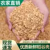 Cáscaras de Arroz Frescas, Salvado Grueso, Cáscaras de Mijo, Salvado de Arroz, Relleno para Camas de Animales y Mascotas, Almohadas de Salud, Relleno a Prueba de Golpes, Elaboración de Cerveza
