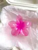 Acessório de Foto Popular para Férias de Verão Transfronteiriço, Presilha de Cabelo Flor de Plumeria, Presilha de Franja Lateral de Alta Qualidade