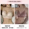 Sujetador de Encaje Inalámbrico para Pechos Pequeños, Push-up, Sexy, Reduce la Grasa Lateral, Previene la Flacidez, Conjunto de Sujetador y Calzón de Verano