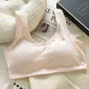 Sujetador tipo bandeau de algodón sin varillas para niñas en edad de pubertad, para estudiantes de secundaria y preparatoria, Chaleco para niñas