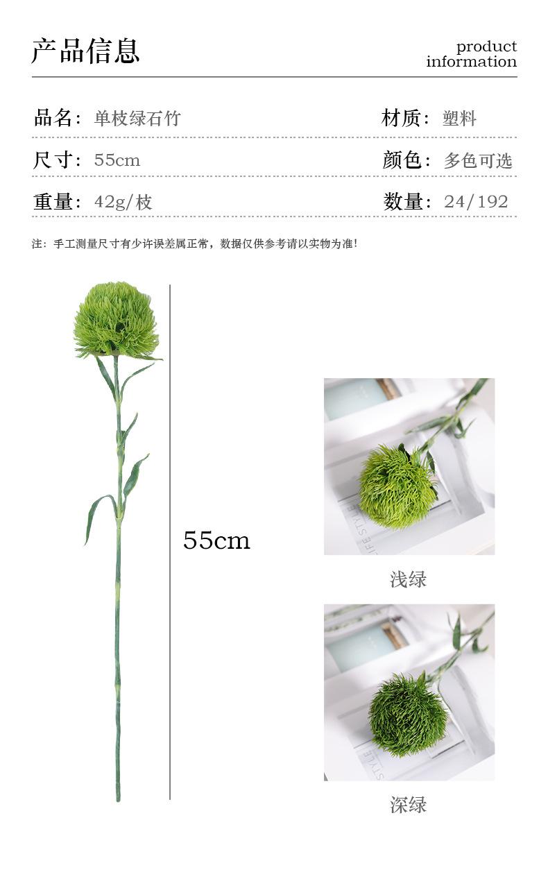 单枝绿石竹_03.jpg