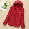 Chaqueta Ligera Acolchada de Algodón para Mujer Otoño e Invierno Abrigo Acolchado de Algodón 2023 Nuevo Estilo Coreano Holgada Corta con Capucha