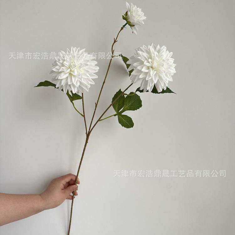 微信图片_202304201402133_副本