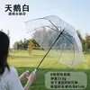Guarda-chuva Transparente Automático de Cabo Longo em Estoque, à Prova de Chuva e Vento, Grande e Resistente, Guarda-chuva Promocional Descartável, Venda por Atacado Direto do Fabricante