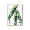 Pintura em tela de planta tropical Pintura de parede de planta verde Pintura de folha tropical Pintura a óleo de folha de folha tropical Impressão de núcleo de pintura decorativa