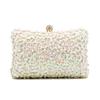 Bolsos de Noche Bordados Nuevos de Moda Transfronterizos para Mujer, Bolsos de Mano de Fiesta Elegantes y a la Moda, Bolsos de Noche de Alta Gama para Vestido