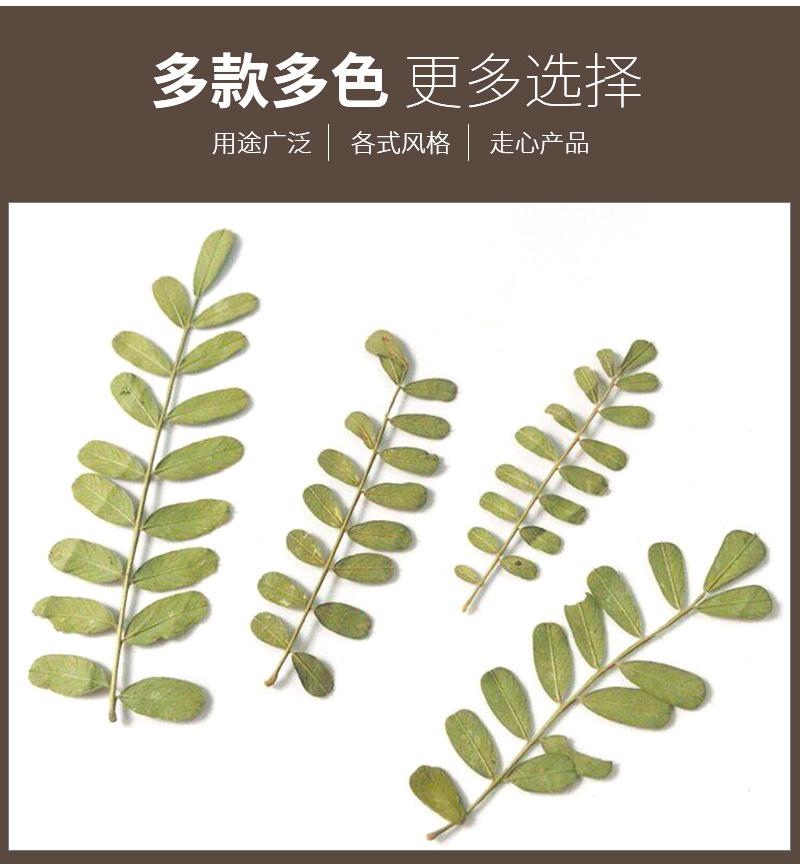详情_05.jpg