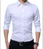Camisa Fina de Primavera e Outono Masculina Manga Longa Estilo Coreano Slim Fit Camisa Casual de Negócios Camisa Colorida Vestido Moda