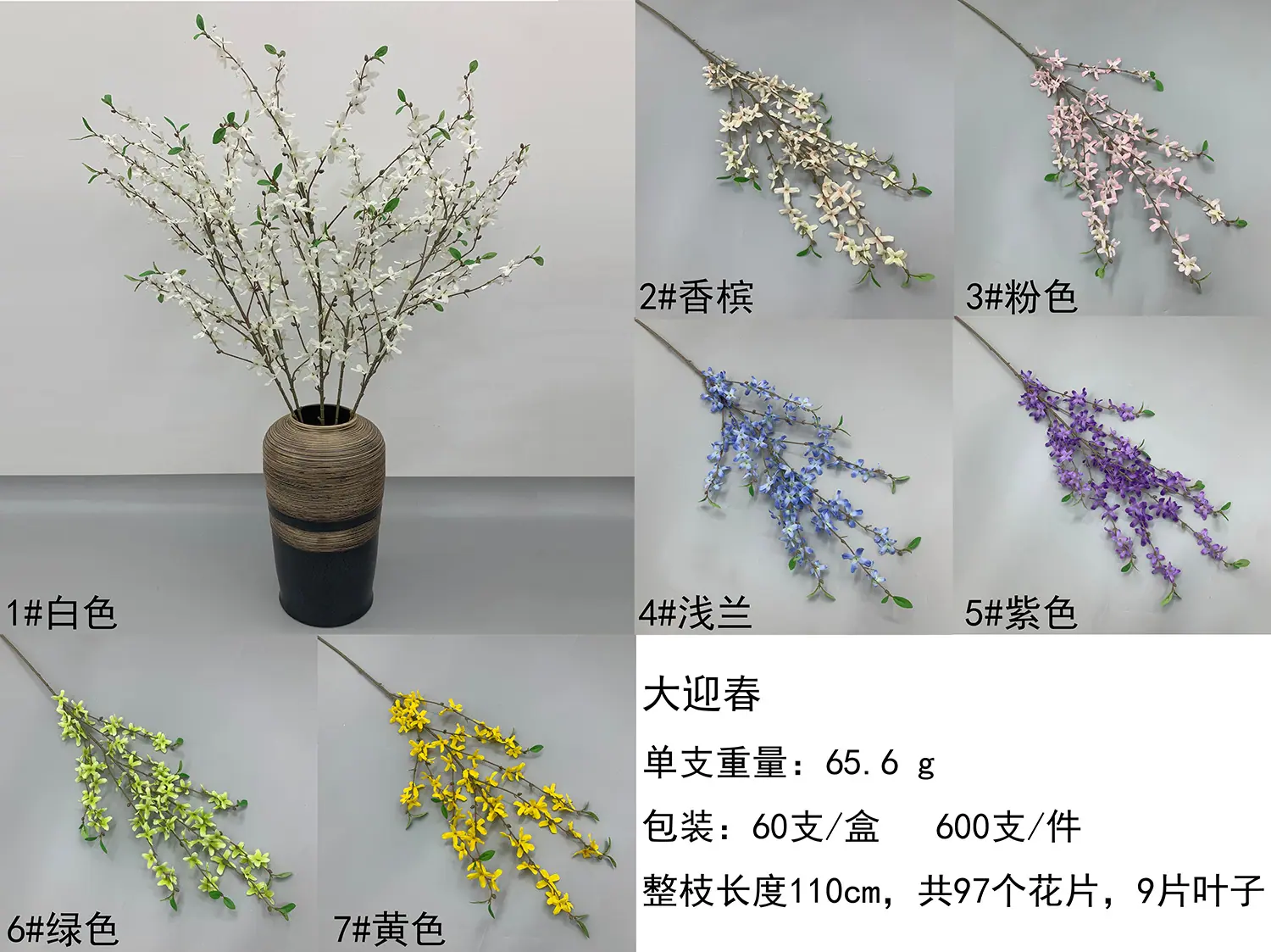 色卡2.jpg