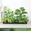 Paisagismo com Plantas Verdes Simulação Floreira Divisória de Piso Arte Floral de Chão Paisagem de Plantas Combinação de Floreira Flor Artificial em Vaso Bonsai Decoração