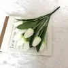 9 Cabezas de Flores de Tulipán Artificiales Exportación Ramo de Planta Verde Decoración de Escena para Fotografía en Casa Alta Simulación