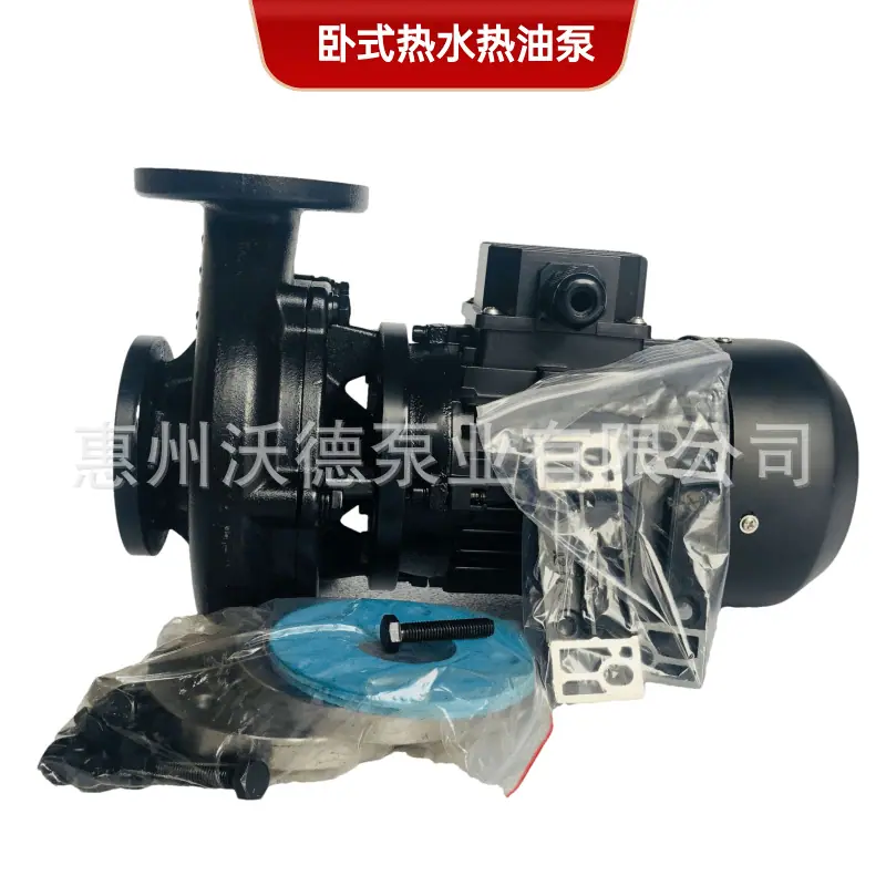 RGZ高温泵正9