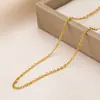 Corrente Cruzada Corrente de Lábio Corrente de Osso de Cobra Redonda Plana Corrente Lateral Aço Titânio Banhado a Ouro 18K Galvanoplastia a Vácuo Corrente Atacado