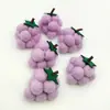 Accesorios para Suéteres de Otoño Transfronterizos Fieltro de Lana Hecho a Mano Uva Morada Fruta Cítrica Adornos de Dibujos Animados Accesorios para Manualidades