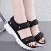 Sandalias Casuales Antideslizantes y Cómodas de Velcro, Sandalias Deportivas de Moda con Suela Gruesa que No Cansan, Sandalias de Playa, Sandalias de Moda