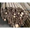 Varas de Bambu de 1-4 Metros, Mastros de Bandeira, Varas de Bambu para Jardim, Varas de Bambu para Chá Anti-Corrosivas, Espessas e Finas, Cercas de Bambu, Guarda-corpos de Bambu
