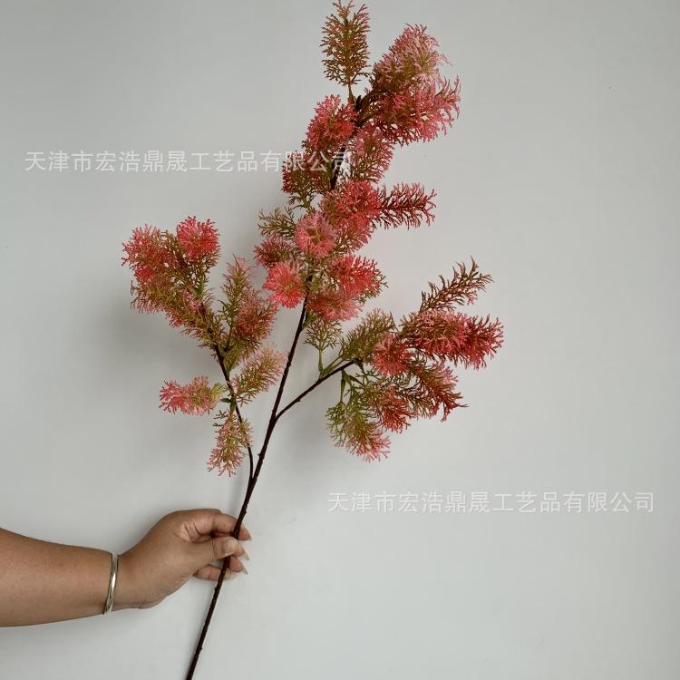 微信图片_20230904085316_副本