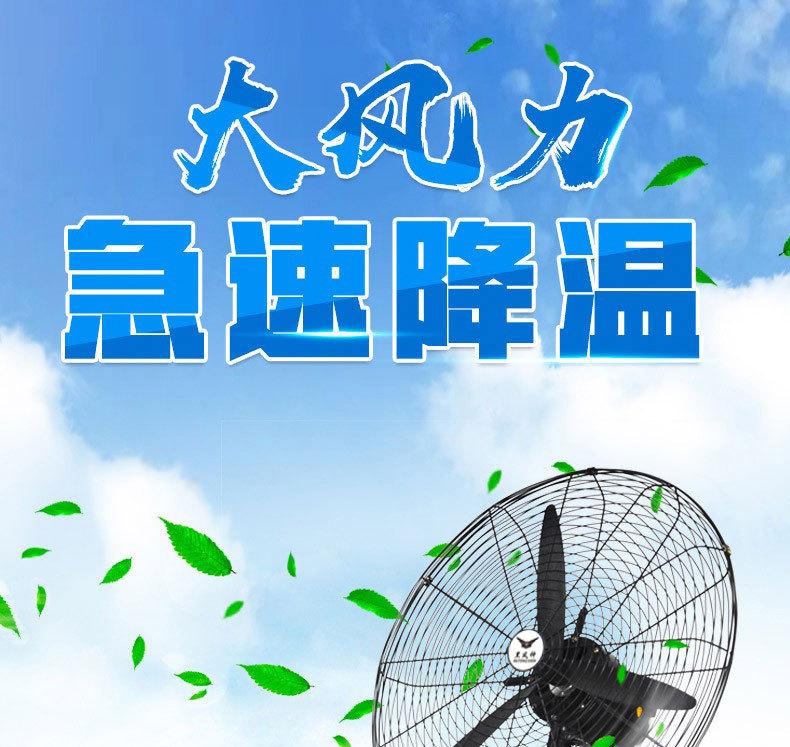 切片01