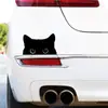 Sticker Decorativo para Coche Gato Negro Divertido de Dibujos Animados Transfronterizo Bloqueador de Rayones para Carrocería y Parachoques