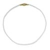 Collar de Perlas de Imitación para Primavera y Otoño para Mujer, Diseño de Nicho de Lujo Ligero, Cadena Elegante de Clavícula de Gama Alta, Nuevo Modelo de Alta Venta 2026 con Tacto Premium