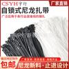 Hebilla de Plástico de Nylon para Amarre Sujetador de Cuerda de Amarre Auto-Bloqueante Negro Blanco Alambre de Amarre Alambre de Plástico Fuerte Gestión de Cables