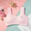 Ropa interior para niñas sin aros, ropa interior para estudiantes con almohadillas en el pecho, chaleco deportivo para niños, top tipo tubo anti-exposición, sujetador para etapa de desarrollo