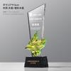O novo troféu de cristal empresa feita sob medida funcionários proeminentes prêmio empresa franqueado troféu personalizado atacado