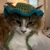 Amazon cross-border ins estilo hand-knitted desenhos animados bonito animal de estimação tricotado chapéu gato chapelaria foto adereços