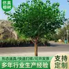 Árvore Banyan Simulada, Árvore Artificial, Planta Grande, Adereços para Hotel, Shopping Center, Casamento, Árvore dos Desejos, Árvore de Paisagismo, Decoração de Janela