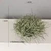 Decoración de Caña Artificial y Hierba de Cola de Perro Planta Verde Arreglo para Interiores del Hogar Césped Floral Paisajismo Césped de Cebolla Artificial Lirio de los Valles