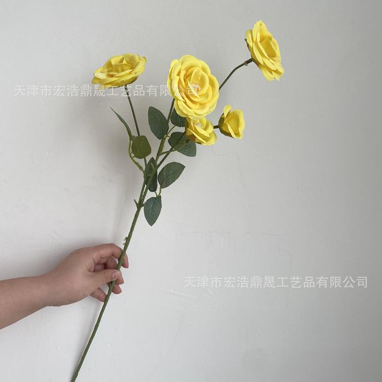 微信图片_20220411160449_副本