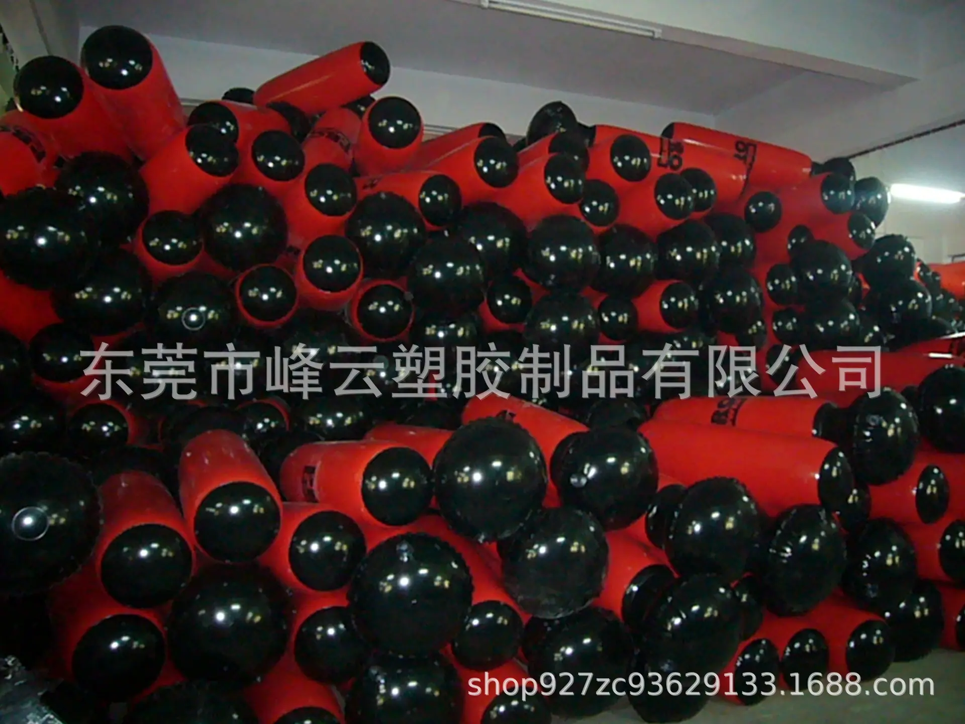 P1060376.JPG