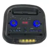 Altavoz de Karaoke Popular de Fabricante de 12 Pulgadas y 40W para Celebraciones Comunitarias, Karaoke Bluetooth con Micrófono