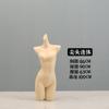 Accesorios para modelos de ropa interior, traje de baño de media longitud para mujer, sujetador, ropa interior masculina, escaparate, expositor en vivo, maniquí falso