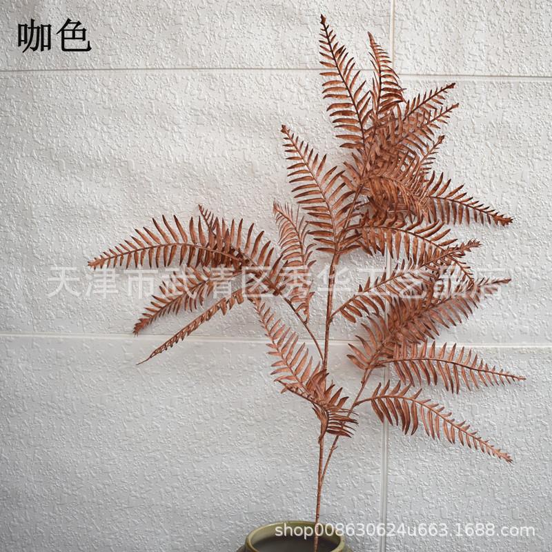 新款波斯叶咖色
