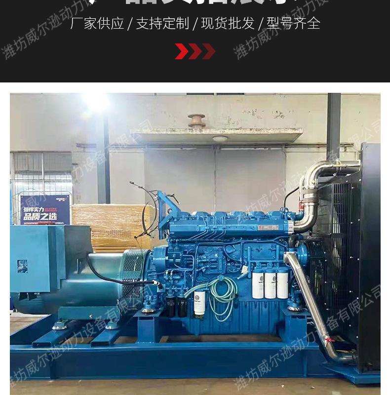 潍柴500千瓦发电机组_10.jpg