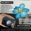 Colorante para flores, absorbente de color para rosas, solución absorbente de color, tinte, colorante para ramos y floristerías