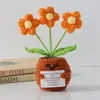 Flor de Tricô de Energia Positiva Transfronteiriça Planta em Vaso Produto Acabado Fio de Lã Flor de Simulação Ornamento de Mesa Boneca de Cartão de Mão