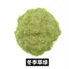 Polvo de Hierba Agujas de Hierba Modelo de Vegetación Construcción Tren Mesa de Arena Manualidades DIY Materiales Paisaje Césped Exterior