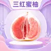 Pomelo Honey Sanhong de Fujian, disponível para entrega em quantidades de 2/5/9/ 2-2,5kg unidades. Pomelo Sanhong doce e suculento em uma caixa de presente, fruta fresca