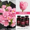 Líquido para teñir flores al por mayor, tinte para flores de cielo estrellado multicolor macarrón, no daña los tallos de las flores, agente colorante DIY para floristerías