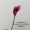 Atacado Transfronteiriço Hanyang Lírio-do-Nilo Flores Artificiais de Eva Toque Suave Flores Artificiais para Buquês de Casamento e Decoração de Casa
