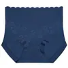 Pantaletas de Encaje con Parches de Seda de Hielo de Talle Alto para Mujer, Delgadas y de Alta Elasticidad, Control de Abdomen, Bordes Sin Costuras, Bragas Moldeadoras para Dama