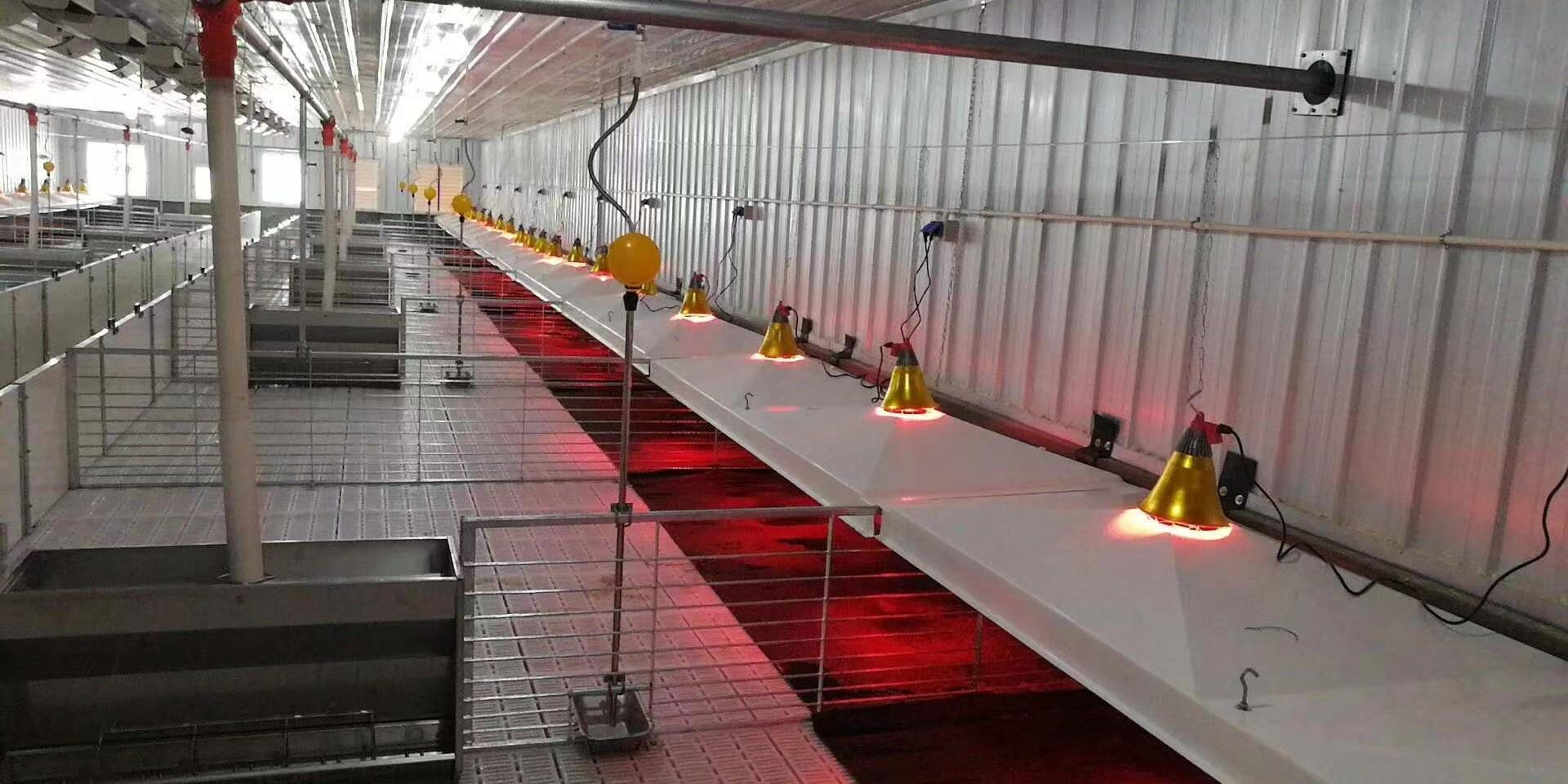 f93aed08c8dd037e861424bb5d38b1