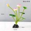 Guarnição prato de servir sushi decoração pequeno ornamento restaurante ocidental couve-flor hotel pratos frios sashimi concepção artística flores plantas criativo outro