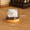 Micro Paisagem Criativa Gato Fofo de Café Acessórios de Decoração DIY Desktop Carro Mini Resina Pequenos Enfeites
